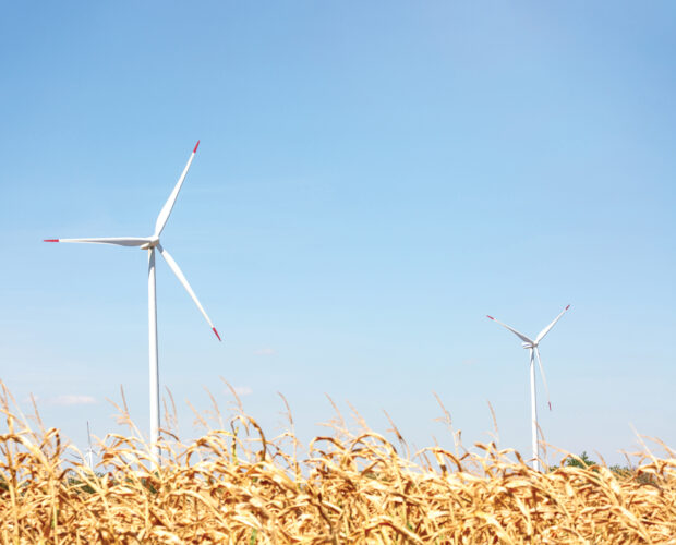 How the Electric Car Killed the Corn Industry